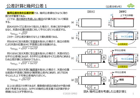 正位|正位(ショウイ)とは？ 意味や使い方